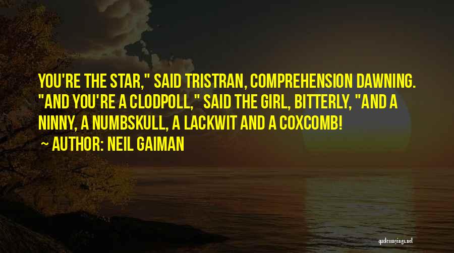Neil Gaiman Quotes: You're The Star, Said Tristran, Comprehension Dawning. And You're A Clodpoll, Said The Girl, Bitterly, And A Ninny, A Numbskull,