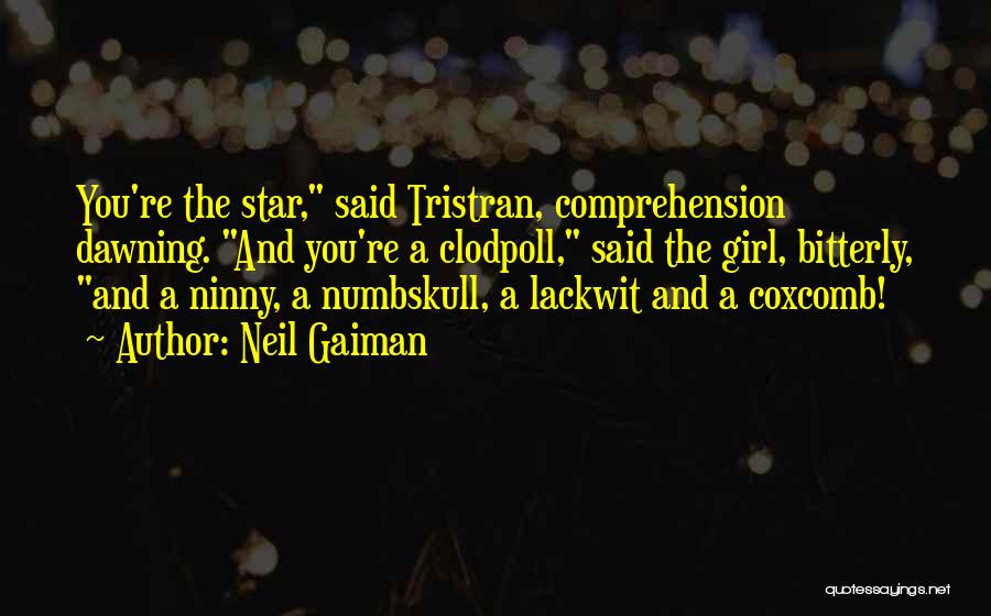 Neil Gaiman Quotes: You're The Star, Said Tristran, Comprehension Dawning. And You're A Clodpoll, Said The Girl, Bitterly, And A Ninny, A Numbskull,