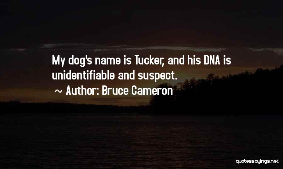 Bruce Cameron Quotes: My Dog's Name Is Tucker, And His Dna Is Unidentifiable And Suspect.