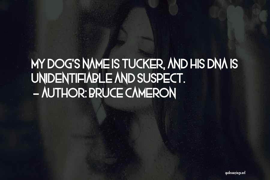 Bruce Cameron Quotes: My Dog's Name Is Tucker, And His Dna Is Unidentifiable And Suspect.