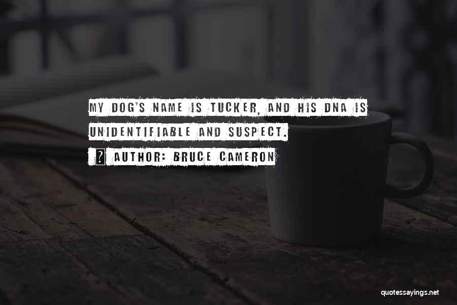 Bruce Cameron Quotes: My Dog's Name Is Tucker, And His Dna Is Unidentifiable And Suspect.