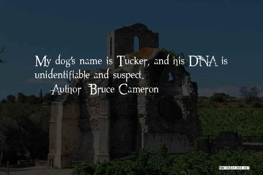 Bruce Cameron Quotes: My Dog's Name Is Tucker, And His Dna Is Unidentifiable And Suspect.