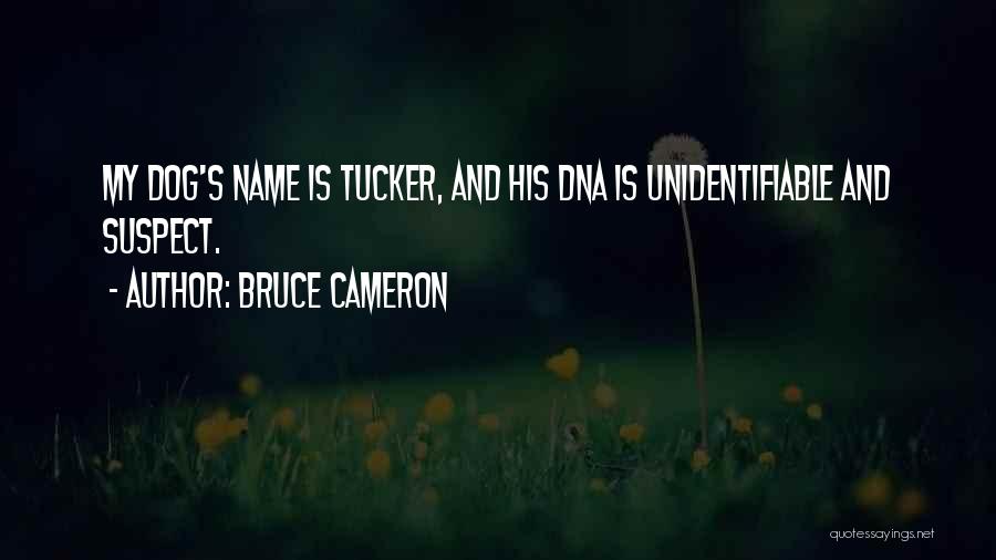 Bruce Cameron Quotes: My Dog's Name Is Tucker, And His Dna Is Unidentifiable And Suspect.