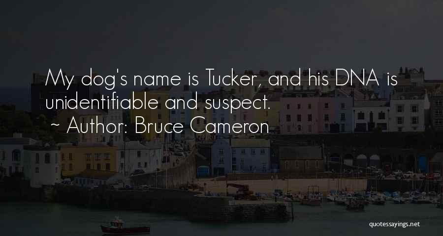 Bruce Cameron Quotes: My Dog's Name Is Tucker, And His Dna Is Unidentifiable And Suspect.