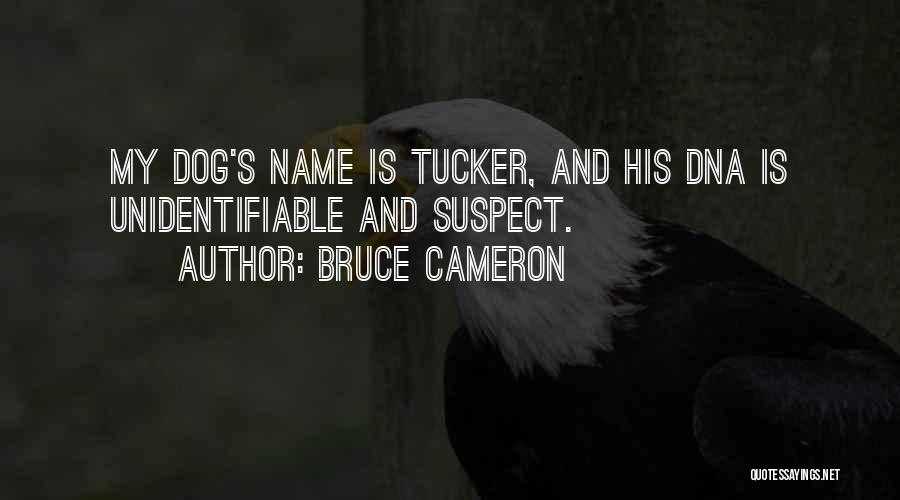 Bruce Cameron Quotes: My Dog's Name Is Tucker, And His Dna Is Unidentifiable And Suspect.