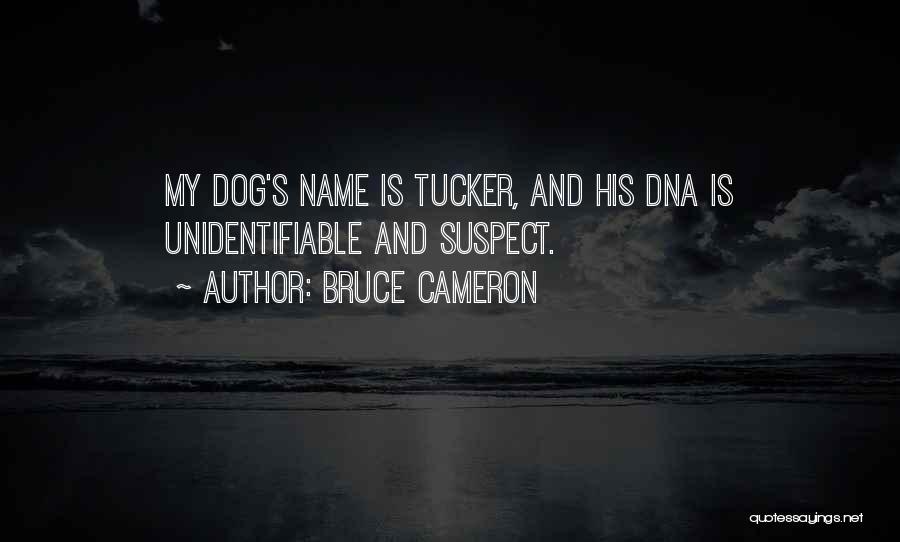 Bruce Cameron Quotes: My Dog's Name Is Tucker, And His Dna Is Unidentifiable And Suspect.