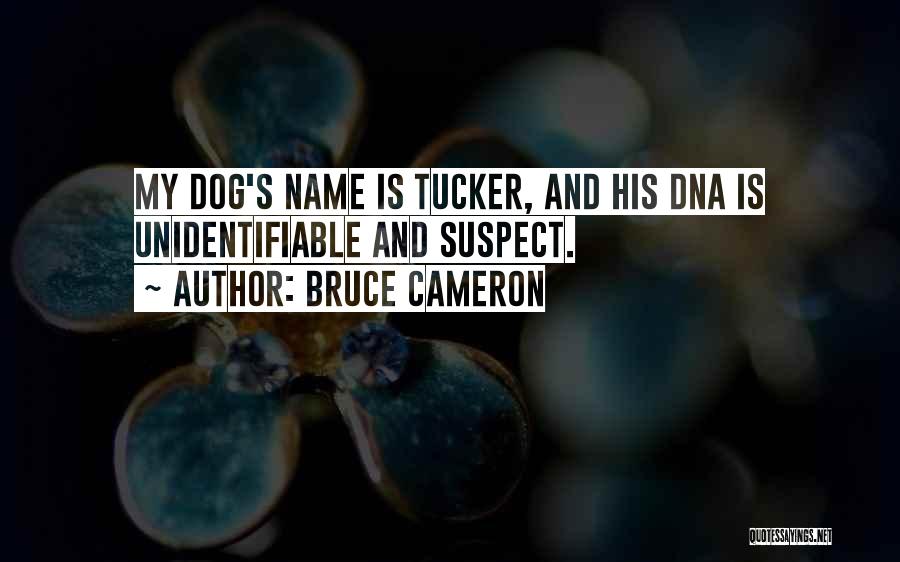 Bruce Cameron Quotes: My Dog's Name Is Tucker, And His Dna Is Unidentifiable And Suspect.