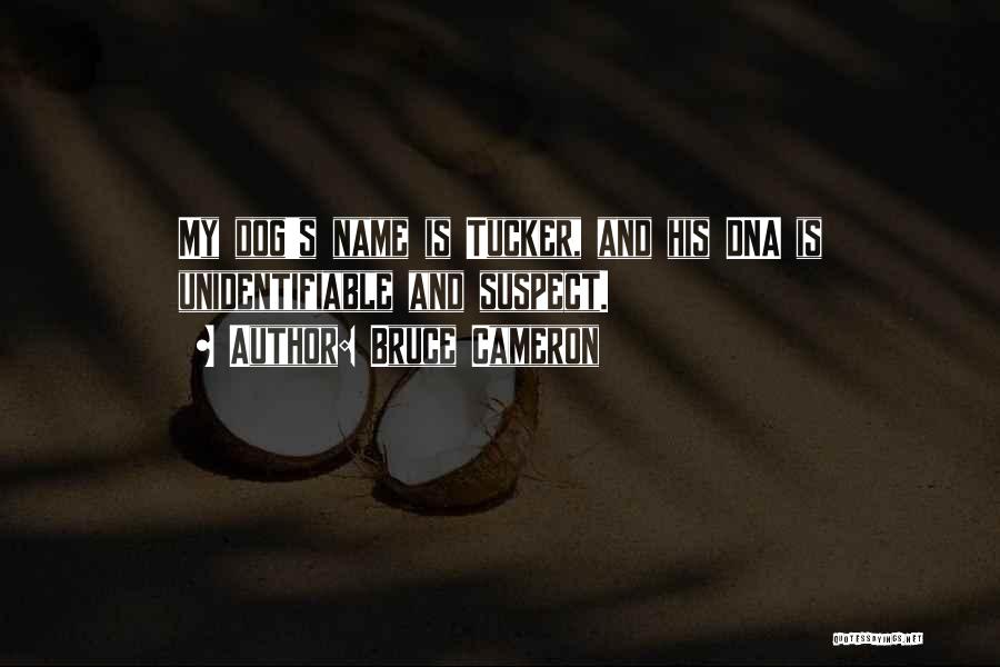 Bruce Cameron Quotes: My Dog's Name Is Tucker, And His Dna Is Unidentifiable And Suspect.