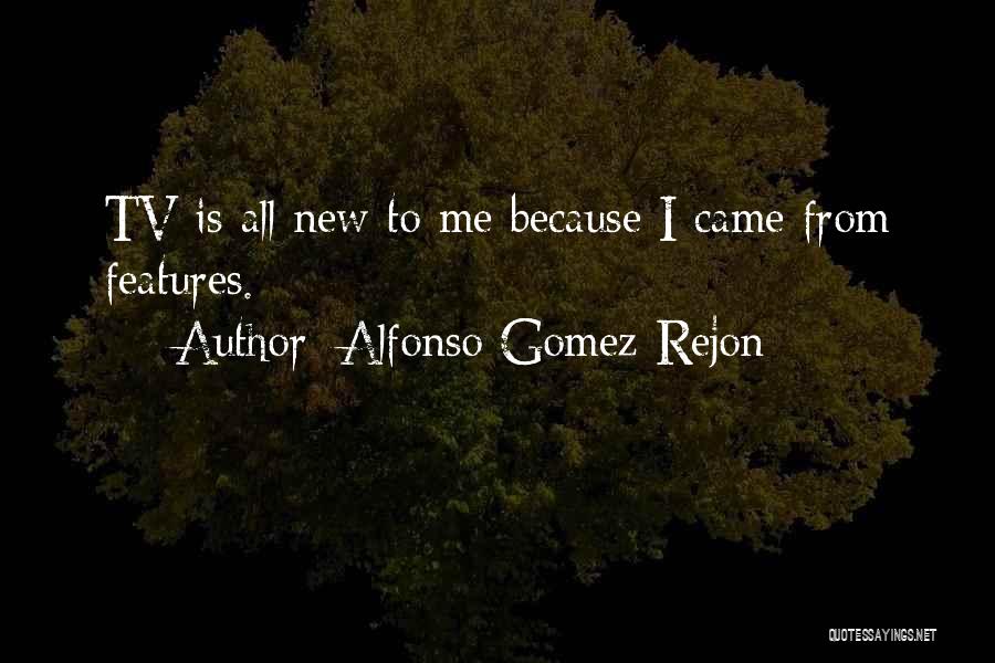 Alfonso Gomez-Rejon Quotes: Tv Is All New To Me Because I Came From Features.