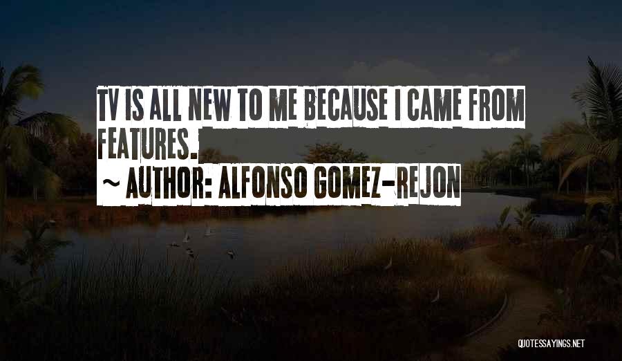 Alfonso Gomez-Rejon Quotes: Tv Is All New To Me Because I Came From Features.