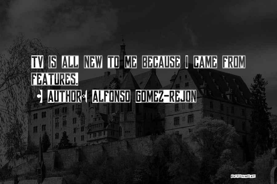 Alfonso Gomez-Rejon Quotes: Tv Is All New To Me Because I Came From Features.