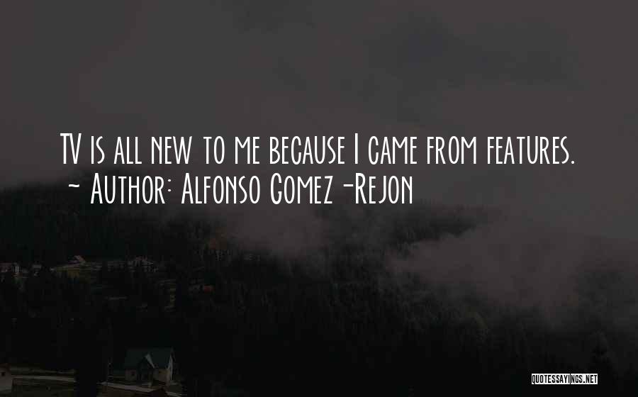 Alfonso Gomez-Rejon Quotes: Tv Is All New To Me Because I Came From Features.