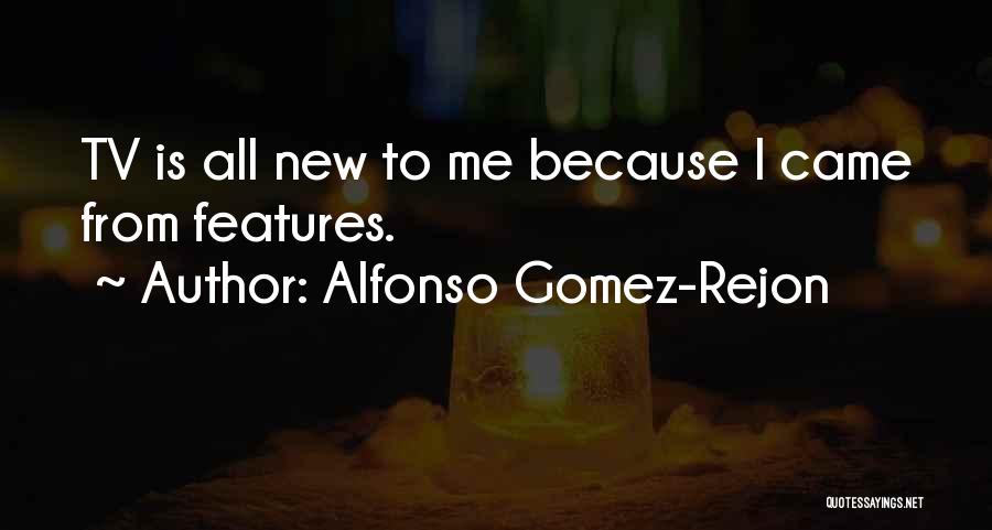 Alfonso Gomez-Rejon Quotes: Tv Is All New To Me Because I Came From Features.