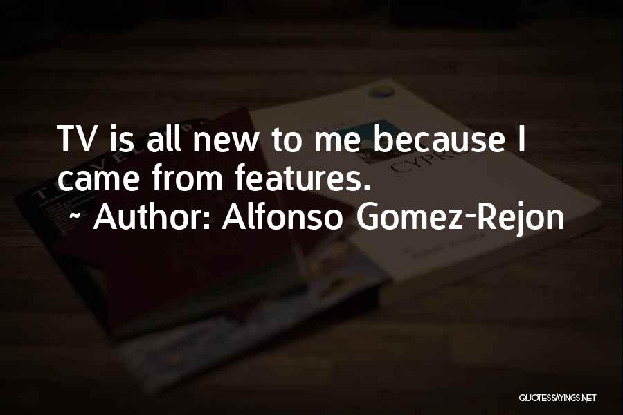 Alfonso Gomez-Rejon Quotes: Tv Is All New To Me Because I Came From Features.