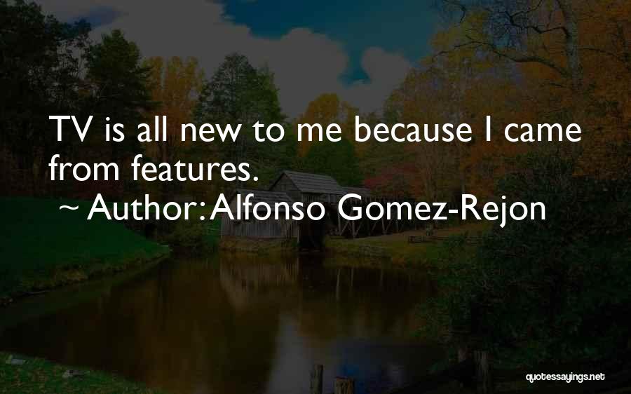 Alfonso Gomez-Rejon Quotes: Tv Is All New To Me Because I Came From Features.