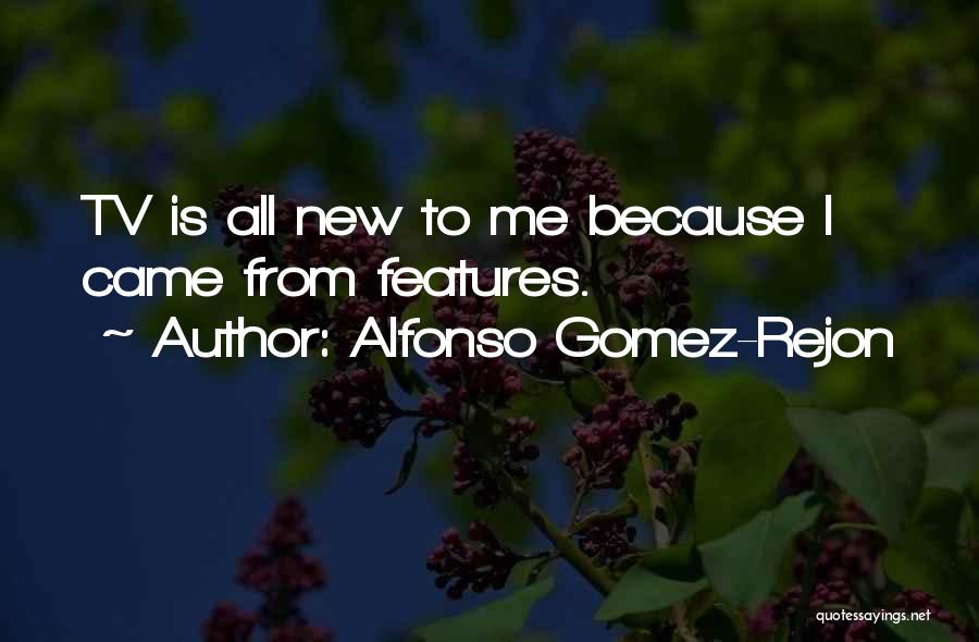 Alfonso Gomez-Rejon Quotes: Tv Is All New To Me Because I Came From Features.