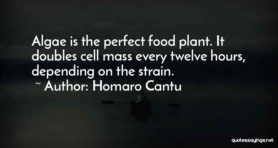 Homaro Cantu Quotes: Algae Is The Perfect Food Plant. It Doubles Cell Mass Every Twelve Hours, Depending On The Strain.