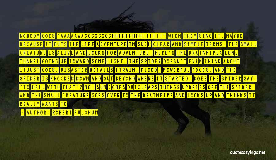 Robert Fulghum Quotes: Nobody Goes Aaaaaaagggggggghhhhhhhhh!!!!!! When They Sing It. Maybe Because It Puts The Life Adventure In Such Clear And Simple Terms.