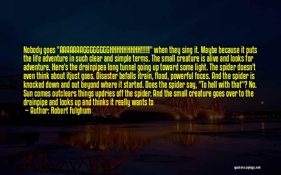 Robert Fulghum Quotes: Nobody Goes Aaaaaaagggggggghhhhhhhhh!!!!!! When They Sing It. Maybe Because It Puts The Life Adventure In Such Clear And Simple Terms.