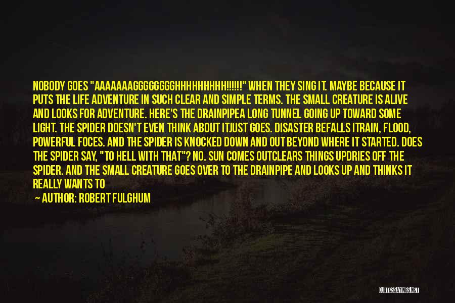 Robert Fulghum Quotes: Nobody Goes Aaaaaaagggggggghhhhhhhhh!!!!!! When They Sing It. Maybe Because It Puts The Life Adventure In Such Clear And Simple Terms.