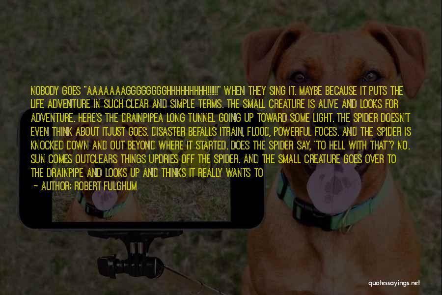 Robert Fulghum Quotes: Nobody Goes Aaaaaaagggggggghhhhhhhhh!!!!!! When They Sing It. Maybe Because It Puts The Life Adventure In Such Clear And Simple Terms.