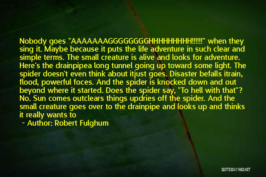 Robert Fulghum Quotes: Nobody Goes Aaaaaaagggggggghhhhhhhhh!!!!!! When They Sing It. Maybe Because It Puts The Life Adventure In Such Clear And Simple Terms.