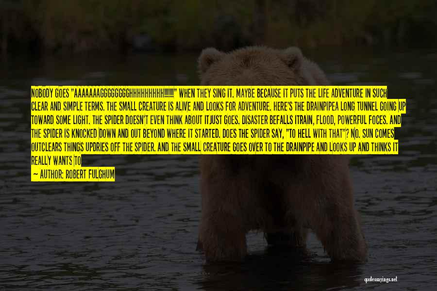 Robert Fulghum Quotes: Nobody Goes Aaaaaaagggggggghhhhhhhhh!!!!!! When They Sing It. Maybe Because It Puts The Life Adventure In Such Clear And Simple Terms.