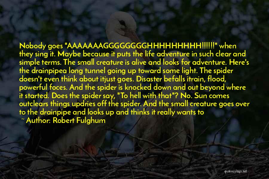 Robert Fulghum Quotes: Nobody Goes Aaaaaaagggggggghhhhhhhhh!!!!!! When They Sing It. Maybe Because It Puts The Life Adventure In Such Clear And Simple Terms.