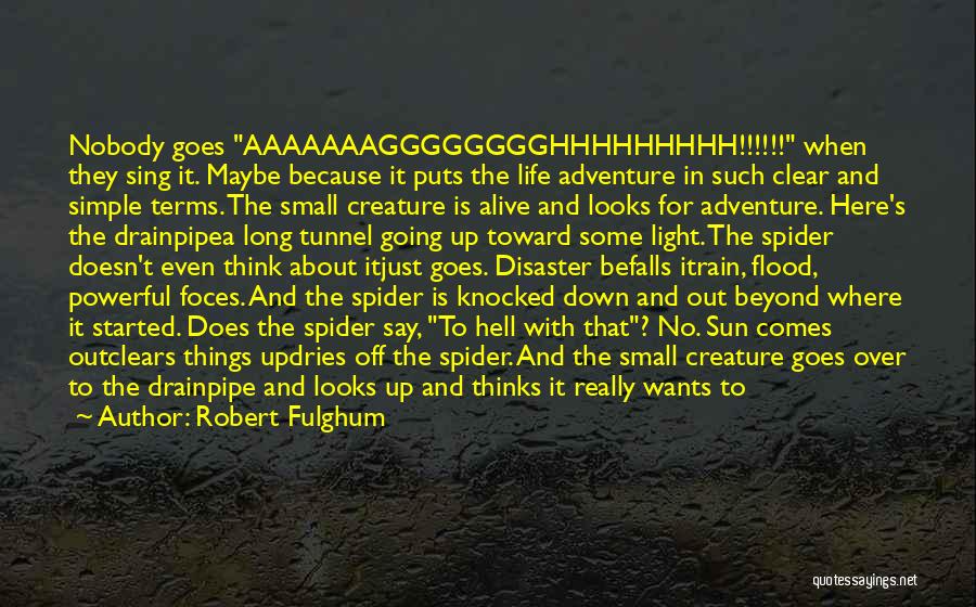 Robert Fulghum Quotes: Nobody Goes Aaaaaaagggggggghhhhhhhhh!!!!!! When They Sing It. Maybe Because It Puts The Life Adventure In Such Clear And Simple Terms.