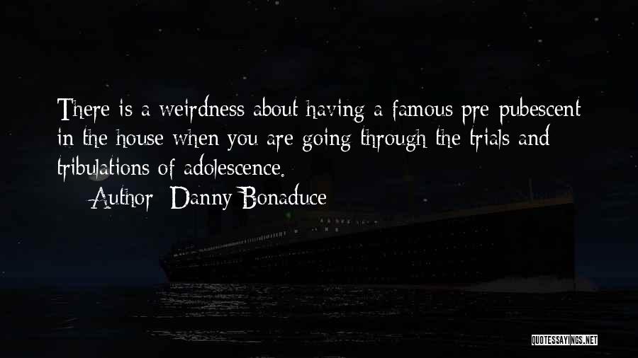 Danny Bonaduce Quotes: There Is A Weirdness About Having A Famous Pre-pubescent In The House When You Are Going Through The Trials And