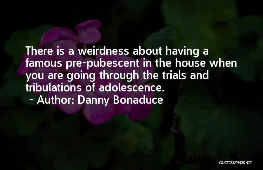 Danny Bonaduce Quotes: There Is A Weirdness About Having A Famous Pre-pubescent In The House When You Are Going Through The Trials And