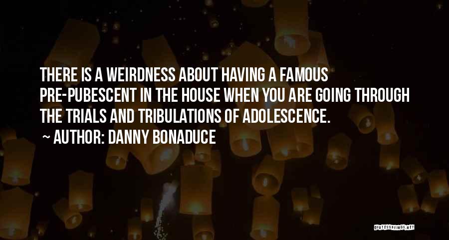 Danny Bonaduce Quotes: There Is A Weirdness About Having A Famous Pre-pubescent In The House When You Are Going Through The Trials And