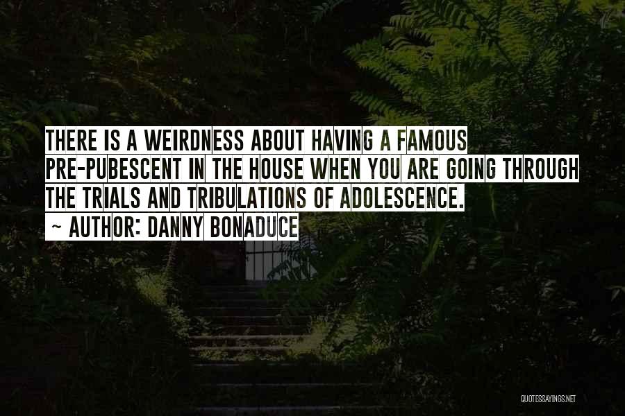 Danny Bonaduce Quotes: There Is A Weirdness About Having A Famous Pre-pubescent In The House When You Are Going Through The Trials And