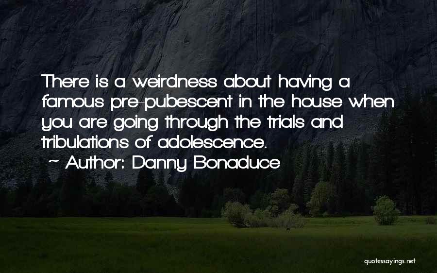 Danny Bonaduce Quotes: There Is A Weirdness About Having A Famous Pre-pubescent In The House When You Are Going Through The Trials And