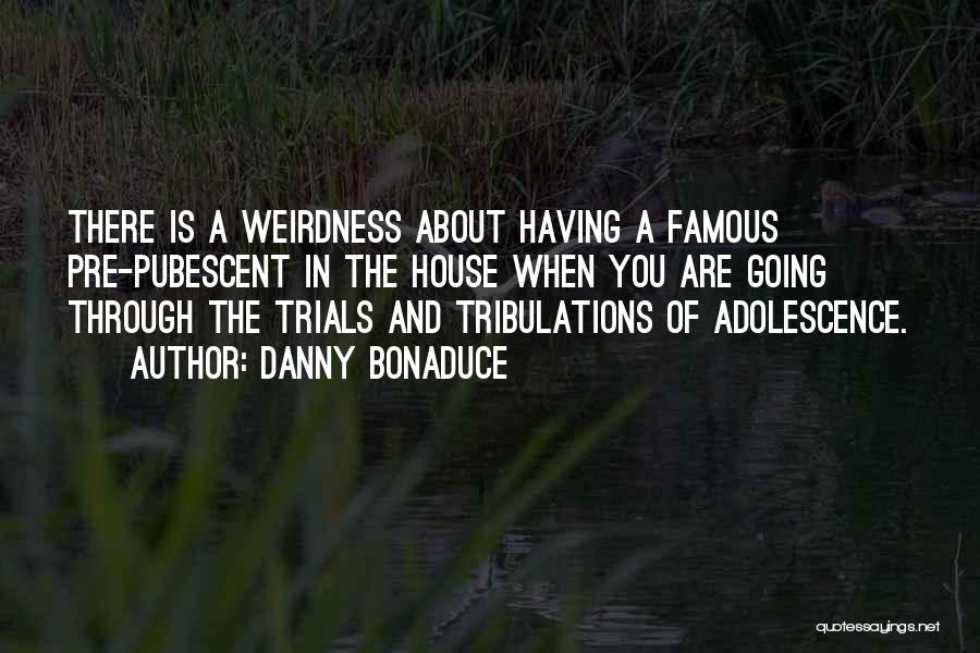 Danny Bonaduce Quotes: There Is A Weirdness About Having A Famous Pre-pubescent In The House When You Are Going Through The Trials And