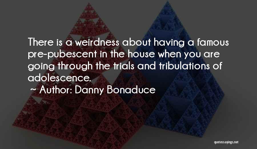 Danny Bonaduce Quotes: There Is A Weirdness About Having A Famous Pre-pubescent In The House When You Are Going Through The Trials And