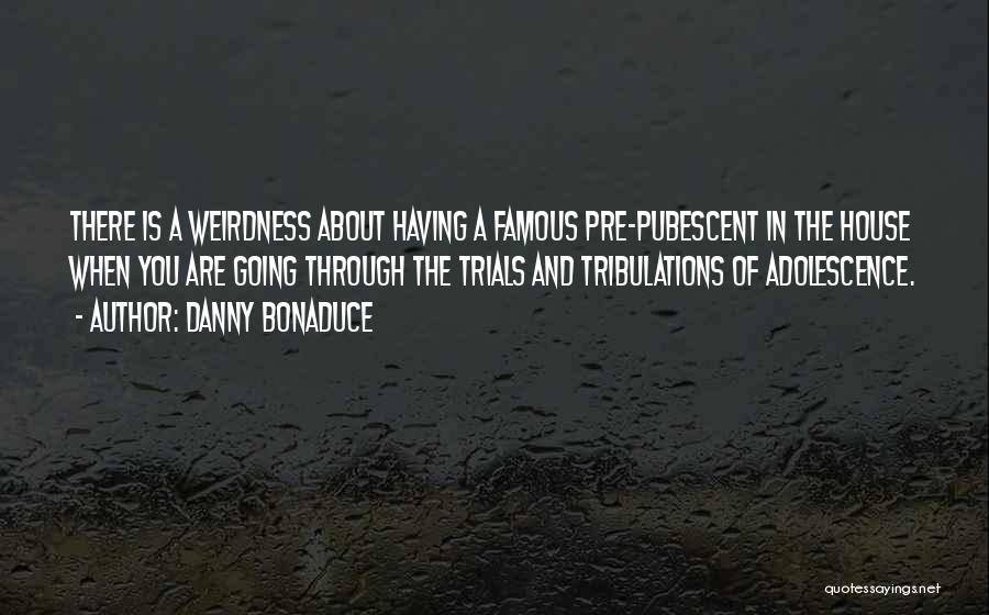 Danny Bonaduce Quotes: There Is A Weirdness About Having A Famous Pre-pubescent In The House When You Are Going Through The Trials And