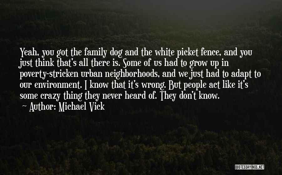 Michael Vick Quotes: Yeah, You Got The Family Dog And The White Picket Fence, And You Just Think That's All There Is. Some