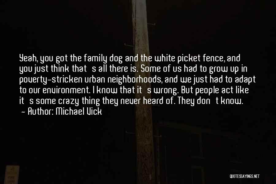 Michael Vick Quotes: Yeah, You Got The Family Dog And The White Picket Fence, And You Just Think That's All There Is. Some