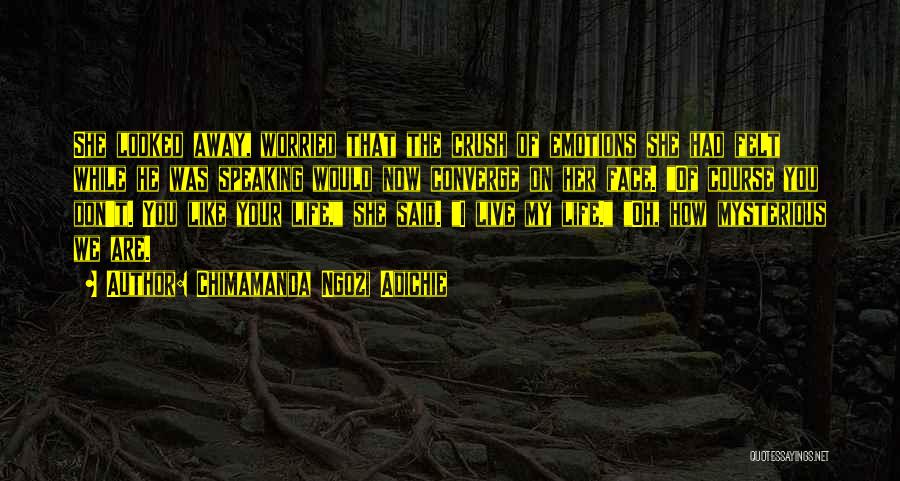 Chimamanda Ngozi Adichie Quotes: She Looked Away, Worried That The Crush Of Emotions She Had Felt While He Was Speaking Would Now Converge On