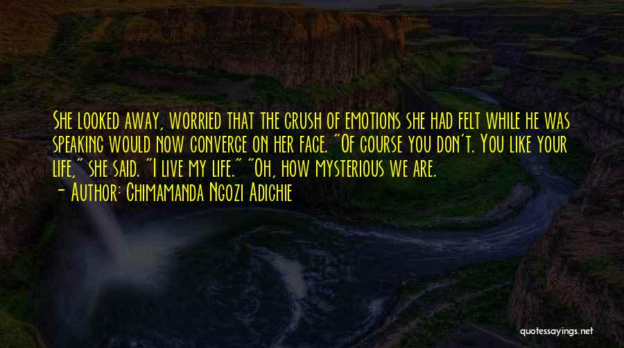 Chimamanda Ngozi Adichie Quotes: She Looked Away, Worried That The Crush Of Emotions She Had Felt While He Was Speaking Would Now Converge On