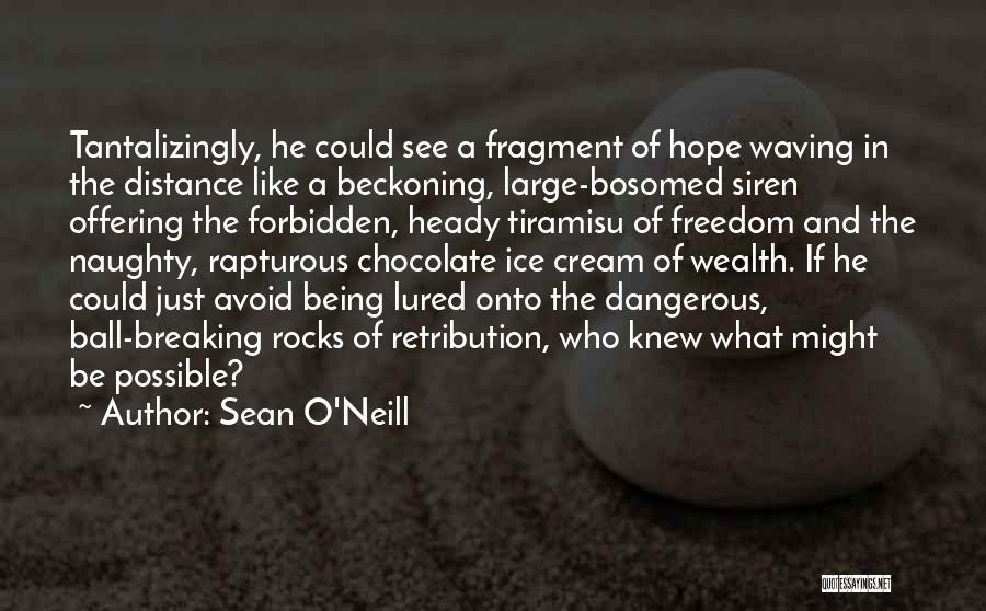 Sean O'Neill Quotes: Tantalizingly, He Could See A Fragment Of Hope Waving In The Distance Like A Beckoning, Large-bosomed Siren Offering The Forbidden,