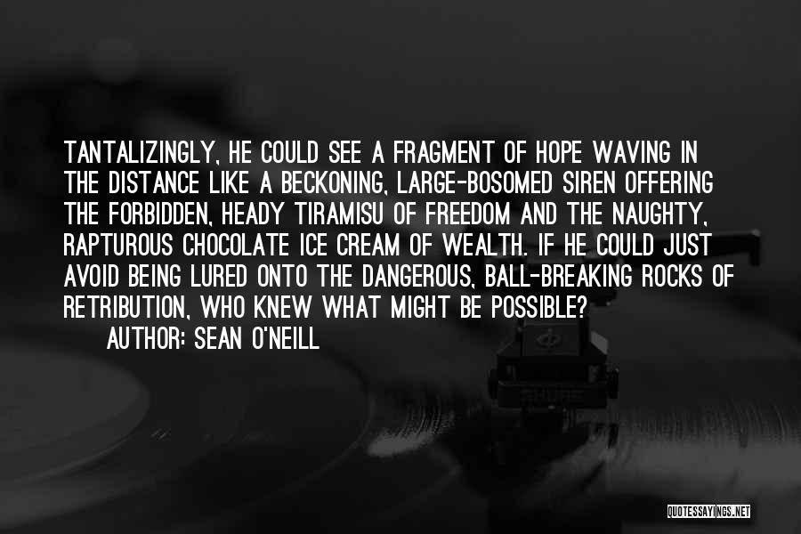 Sean O'Neill Quotes: Tantalizingly, He Could See A Fragment Of Hope Waving In The Distance Like A Beckoning, Large-bosomed Siren Offering The Forbidden,