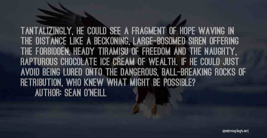 Sean O'Neill Quotes: Tantalizingly, He Could See A Fragment Of Hope Waving In The Distance Like A Beckoning, Large-bosomed Siren Offering The Forbidden,