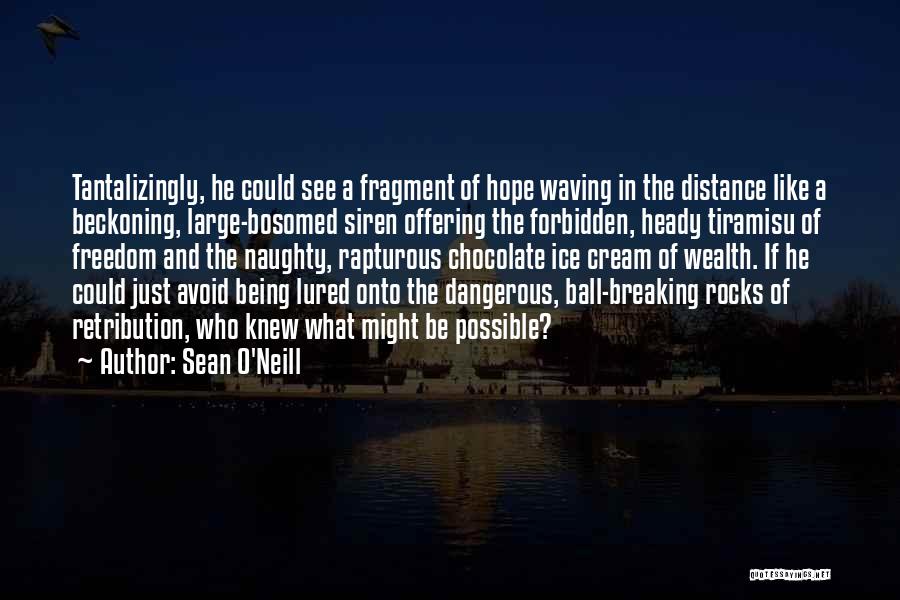 Sean O'Neill Quotes: Tantalizingly, He Could See A Fragment Of Hope Waving In The Distance Like A Beckoning, Large-bosomed Siren Offering The Forbidden,