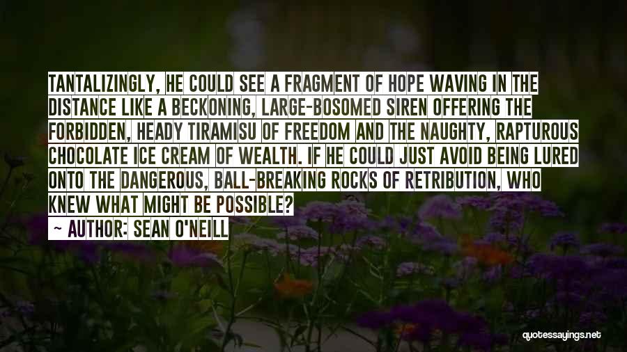 Sean O'Neill Quotes: Tantalizingly, He Could See A Fragment Of Hope Waving In The Distance Like A Beckoning, Large-bosomed Siren Offering The Forbidden,