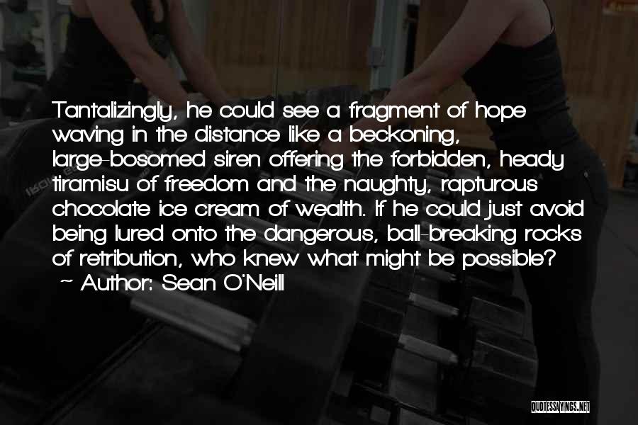 Sean O'Neill Quotes: Tantalizingly, He Could See A Fragment Of Hope Waving In The Distance Like A Beckoning, Large-bosomed Siren Offering The Forbidden,
