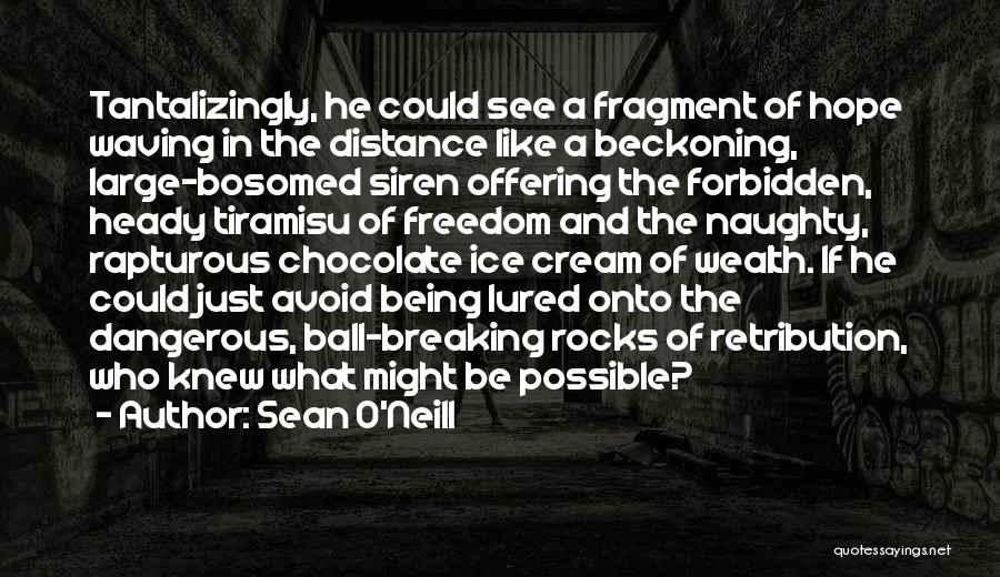 Sean O'Neill Quotes: Tantalizingly, He Could See A Fragment Of Hope Waving In The Distance Like A Beckoning, Large-bosomed Siren Offering The Forbidden,