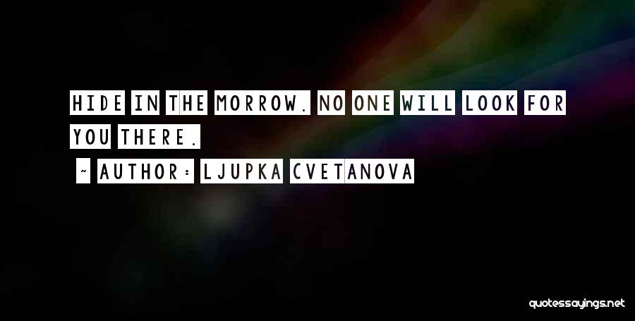 Ljupka Cvetanova Quotes: Hide In The Morrow. No One Will Look For You There.