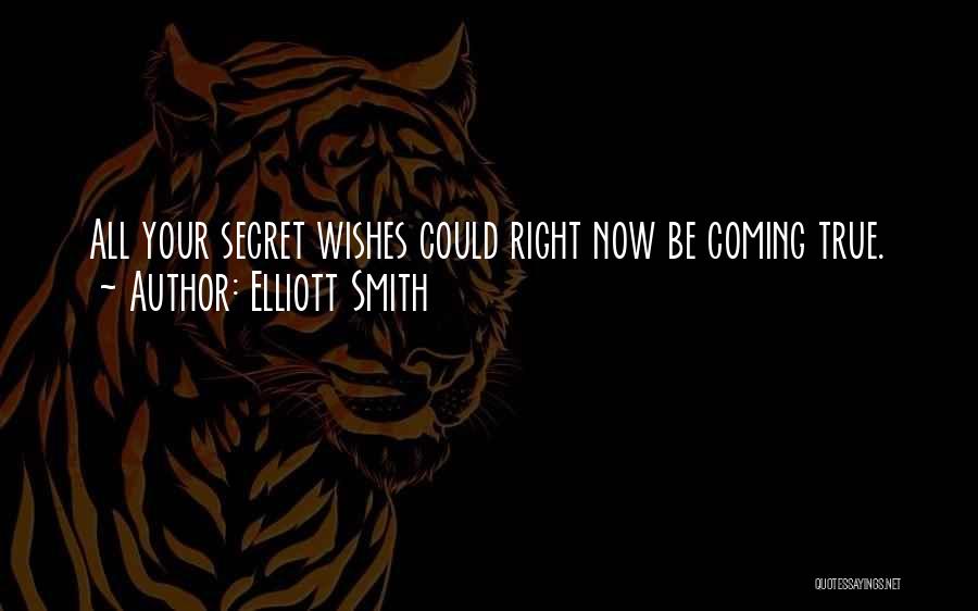 Elliott Smith Quotes: All Your Secret Wishes Could Right Now Be Coming True.